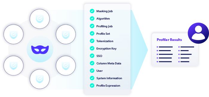 Diagram of the Perforce Delphix Profiler Results process