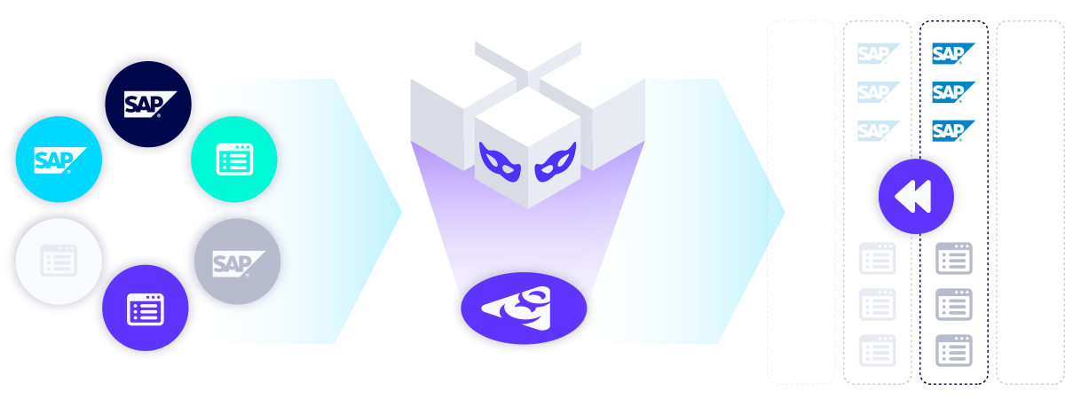 SAP process diagram for data masking integration