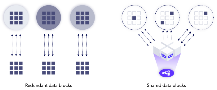 Space efficient data illustrtion, Delphix.