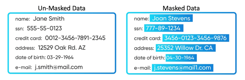 masked data delphix platform