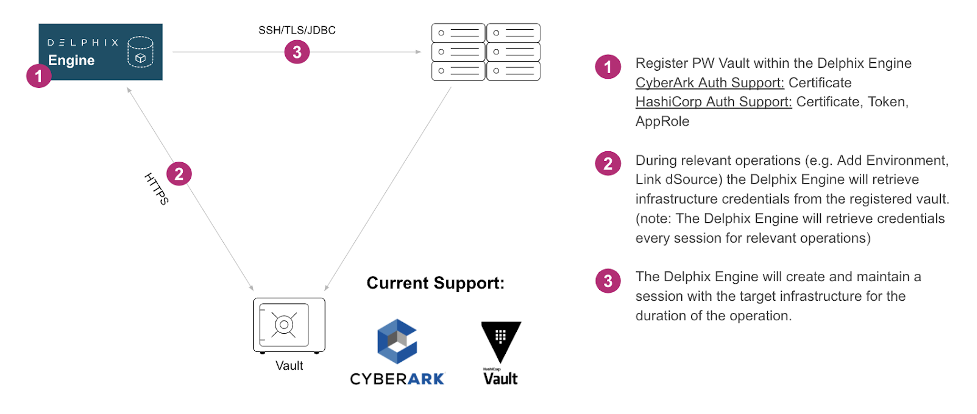 password vault delphix